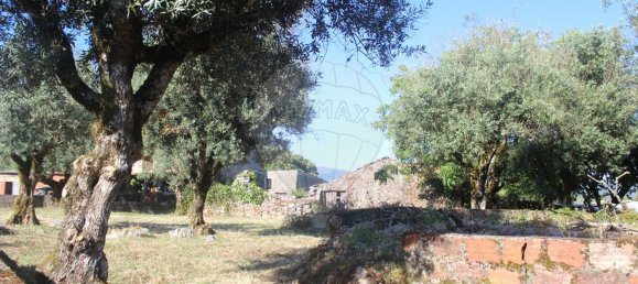 Casa de 2 dormitorios en Ansiao, Portugal No. 24399 5
