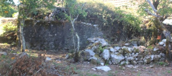 Casa de 2 dormitorios en Ansiao, Portugal No. 24399 10