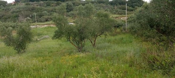 terreno en venta en Zakynthos, Ionian Islands, Peloponnese, Western Greece and the Ionian, Greece № 629 12