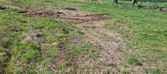 Grundstück in Saint-Romain-Lachalm, France 1074m², Nr. 86677 5