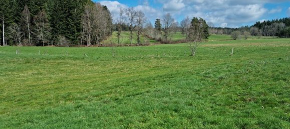 Grundstück in Saint-Romain-Lachalm, France 1074m², Nr. 86677 2