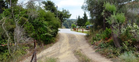 11500m² Hotel in Chalkidiki, Greece No. 7208 3