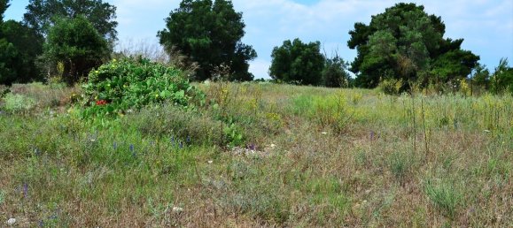 11500m² Hotel in Chalkidiki, Greece No. 7208 2