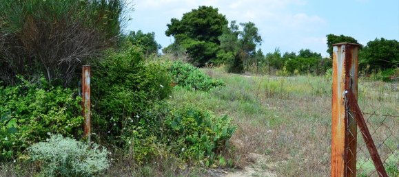 11500m² Hotel in Chalkidiki, Greece No. 7208 4