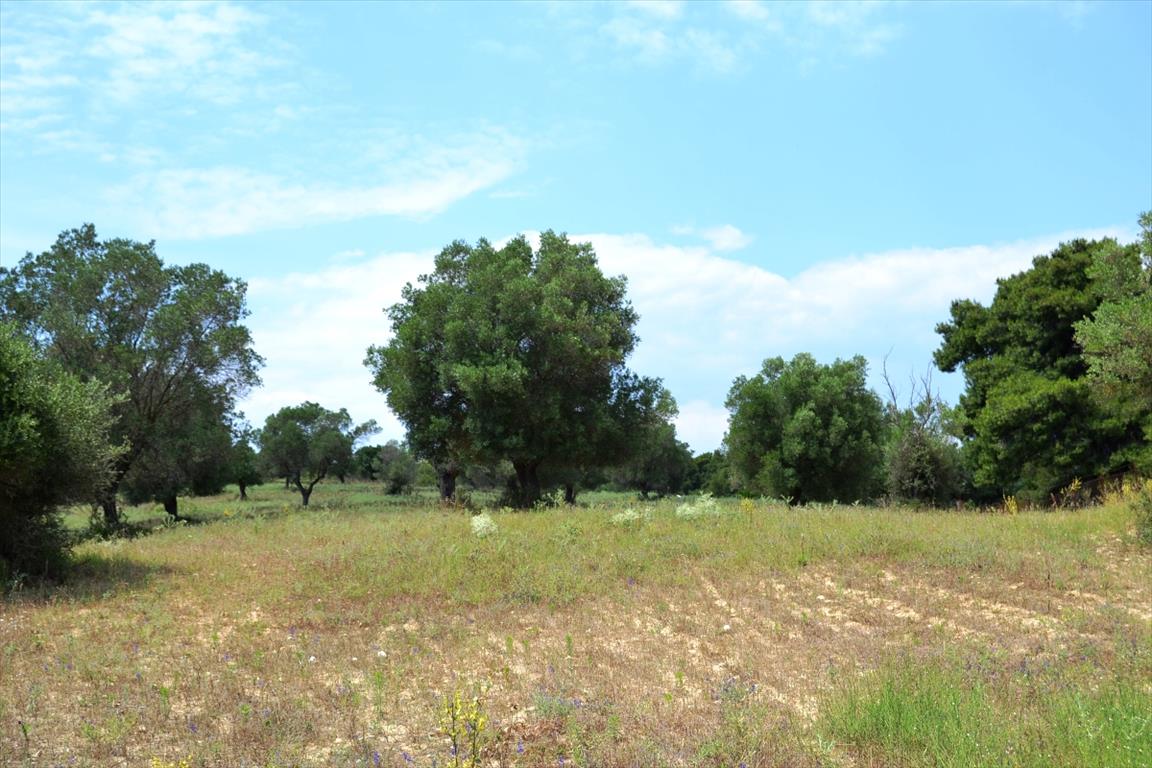 Hotel in Chalkidiki, Greece 11500m², Nr. 7208