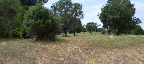 11500m² Hotel in Chalkidiki, Greece No. 7208 6