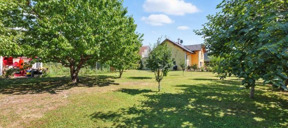 6-salle Maison à Bisamberg, Austria No. 237714 6