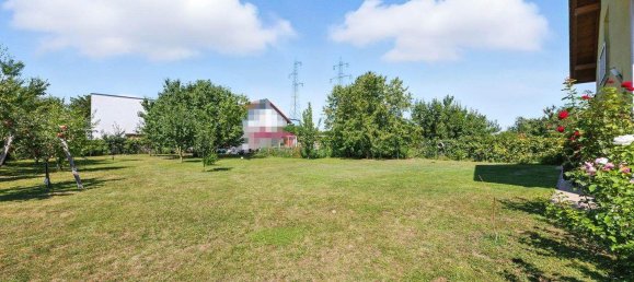 6-salle Maison à Bisamberg, Austria No. 237714 16