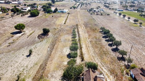 1 bedroom Land in Salvaterra de Magos, Portugal No. 185755
