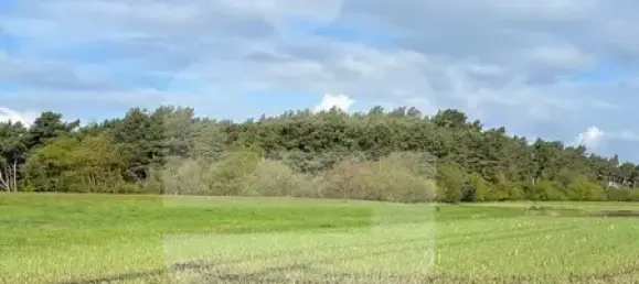 Земельный участок в Diepholz, Германия № 195177 2