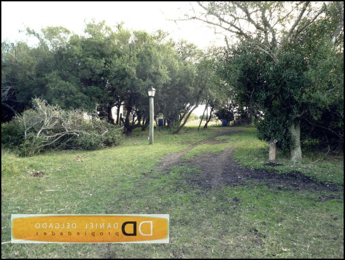 Studio in Mar del Plata, Argentina No. 78391