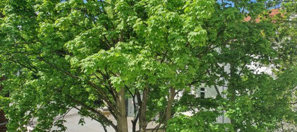 1 Schlafzimmer Wohnung in Leipzig, Germany, Nr. 4077 6