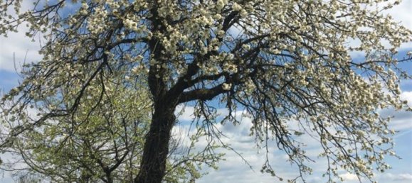 3 rooms Duplex in Passau, Germany No. 287543 17