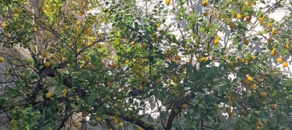 Casa de 6 habitaciónes en Guagnano, Italy No. 253985 8