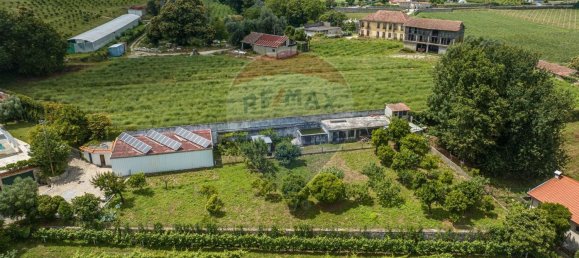 4 bedrooms House in Dornelas, Portugal No. 30646 10