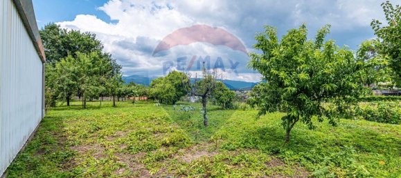 4 bedrooms House in Dornelas, Portugal No. 30646 17