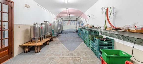 4 bedrooms House in Dornelas, Portugal No. 30646 46