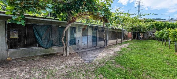 4 bedrooms House in Dornelas, Portugal No. 30646 14