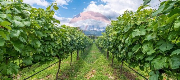 4 bedrooms House in Dornelas, Portugal No. 30646 15