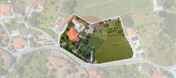 4 bedrooms House in Dornelas, Portugal No. 30646 7