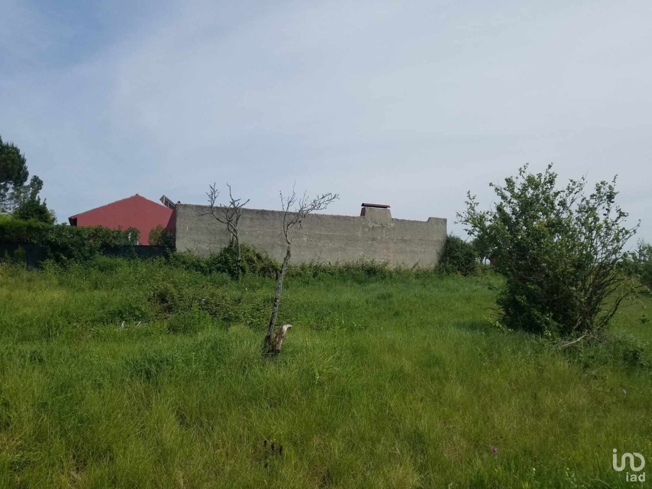 Terrain à Bombarral, Portugal No. 314180