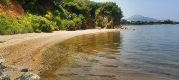 4 chambres Propriété commerciale à Euboea, Greece No. 6583 11