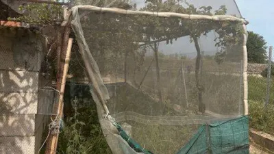 1250m² Land in Sueca, Spain No. 265850