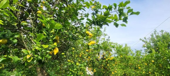 3 bedrooms House in Alfoz de Lloredo, Spain No. 134636 6