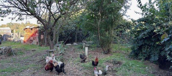 4 Schlafzimmer Haus in Mede, Italy, Nr. 365581 2