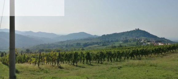 Casa de 5 dormitorios en Montalto Pavese, Italy No. 361415 16