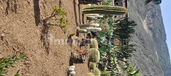 4 غرف نوم منزل في Pantelleria, Italy رقم 159426 17