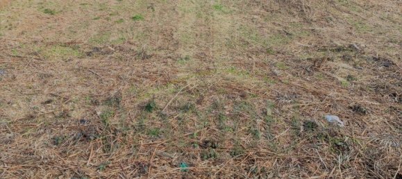 211m² Land in Caminha, Portugal No. 56200 4