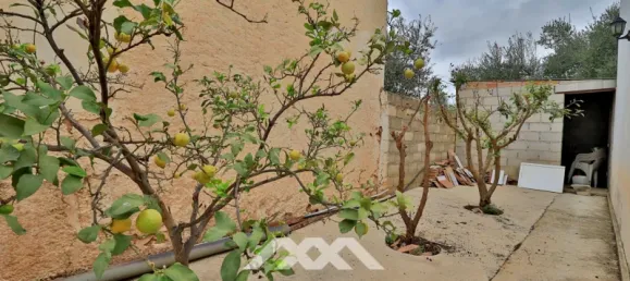 6 bedrooms Commercial property in Alfarnatejo, Spain No. 65601 5