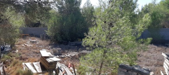 قطعة أرض في Manises, Spain 893متر مربع رقم 102034 9