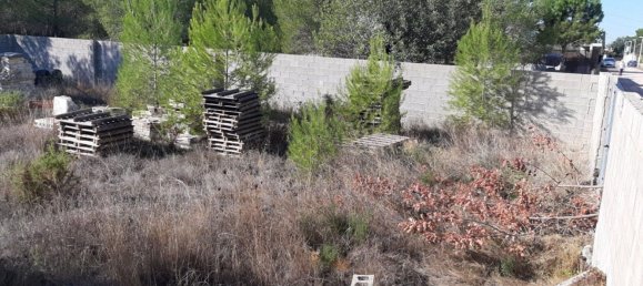 قطعة أرض في Manises, Spain 893متر مربع رقم 102034 8