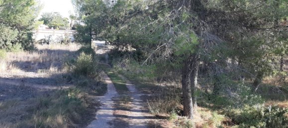 قطعة أرض في Manises, Spain 893متر مربع رقم 102034 3