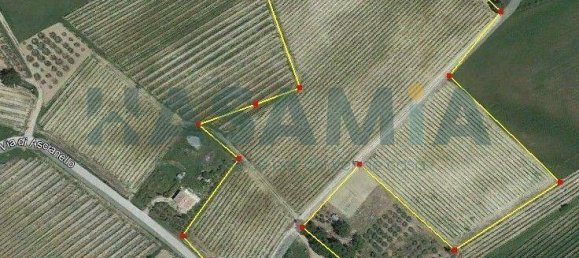 Casa de 5 habitaciónes en Montepulciano, Italy No. 303122 5