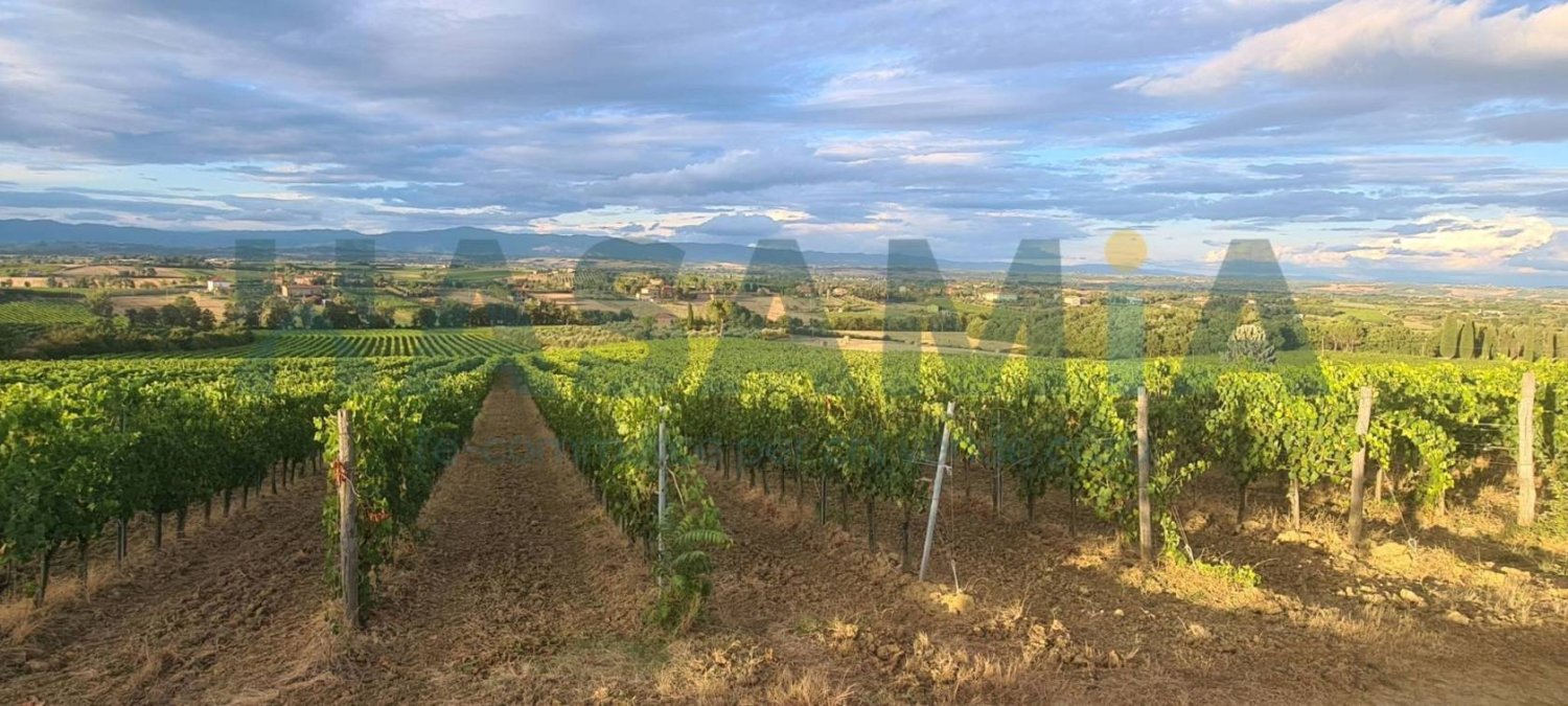 Casa de 5 habitaciónes en Montepulciano, Italy No. 303122