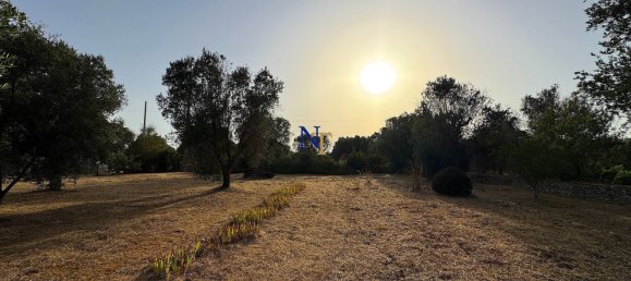 3-Zimmer Haus in Ostuni, Italy, Nr. 277859 35