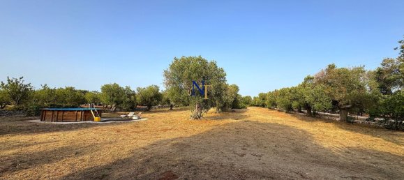 3-Zimmer Haus in Ostuni, Italy, Nr. 277859 27