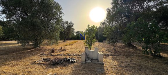 3-Zimmer Haus in Ostuni, Italy, Nr. 277859 29