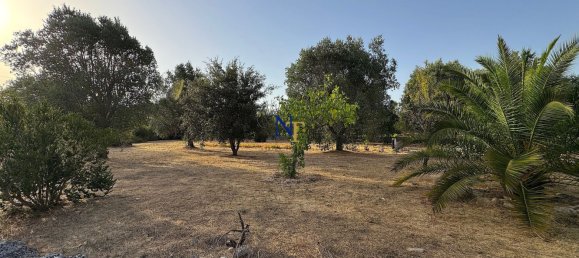 3-Zimmer Haus in Ostuni, Italy, Nr. 277859 34