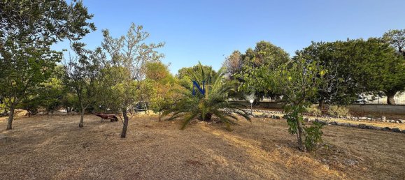 3-Zimmer Haus in Ostuni, Italy, Nr. 277859 33