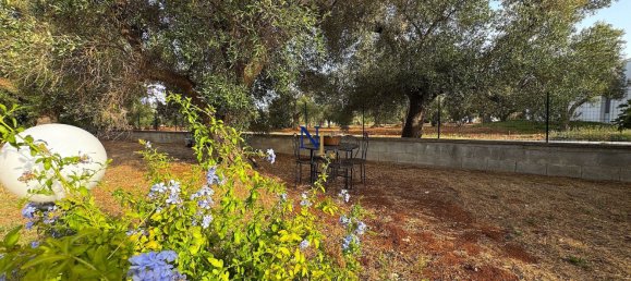 3-Zimmer Haus in Ostuni, Italy, Nr. 277859 28