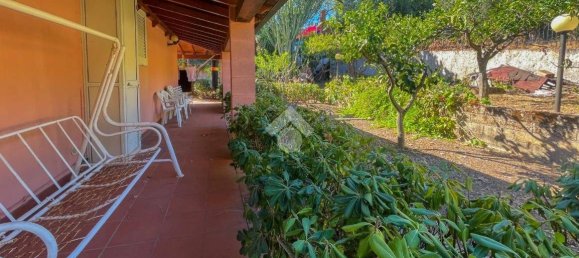 استوديو في Patti, Italy رقم 266404 17