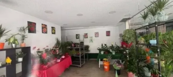 47m² Commercial property in Sabadell, Spain No. 179156 10