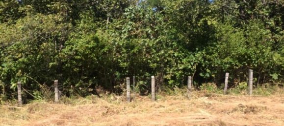 Terrain à Liberia, Costa Rica No. 1824 3