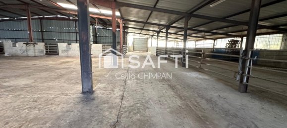 4 Schlafzimmer Haus in Cotes-d'Armor, France, Nr. 320114 18