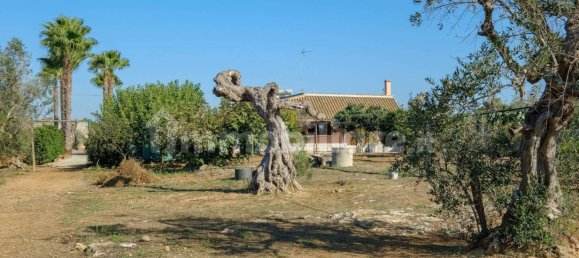 4 غرف نوم فيلا في Sannicola, Italy رقم 231383 10