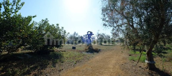 4 غرف نوم فيلا في Sannicola, Italy رقم 231383 7